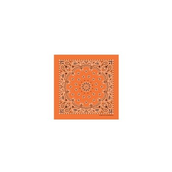 Western Express Orange Paisley Bandana 22 x 22 Cotton Made in USA