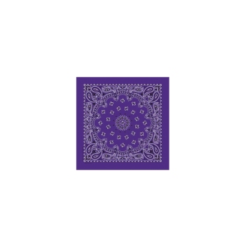 Western Express Purple Paisley Bandana 22 x 22 Cotton Made in USA