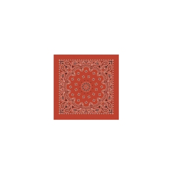 Western Express Terra Cotta Paisley Bandana 22 x 22 Cotton USA Made