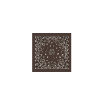 Western Express Brown Paisley Bandana 22 x 22 Cotton Made in USA