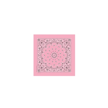 Western Express Light Pink Paisley Bandana 22 x 22 Cotton USA Made