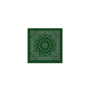 Western Express Hunter Green Paisley Bandana 22 x 22 Cotton USA Made