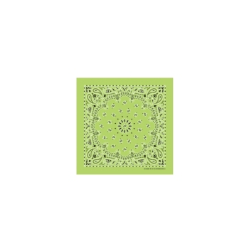 Western Express Lime Paisley Bandana 22 x 22 Cotton Made in USA