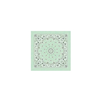 Western Express Mint Paisley Bandana 22 x 22 Cotton Made in USA