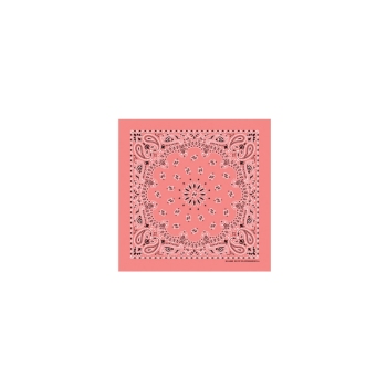 Western Express Strawberry Paisley Bandana 22 x 22 Cotton USA Made