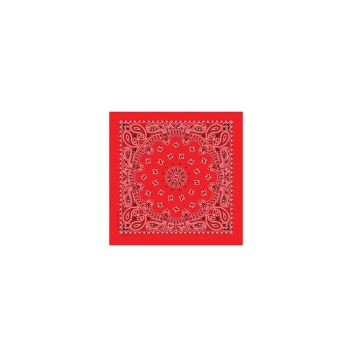 Western Express Red Paisley Bandana 22 x 22 Cotton Made in USA