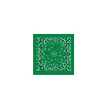 Western Express Kelly Green Paisley Bandana 22 x 22 Cotton USA Made