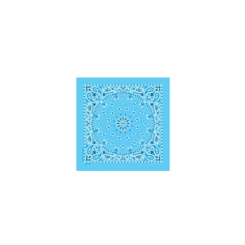 Western Express Light Blue Paisley Bandana 22 x 22 Cotton USA Made